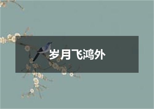 岁月飞鸿外