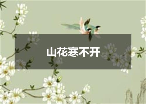 山花寒不开
