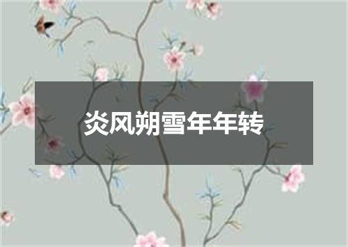 炎风朔雪年年转