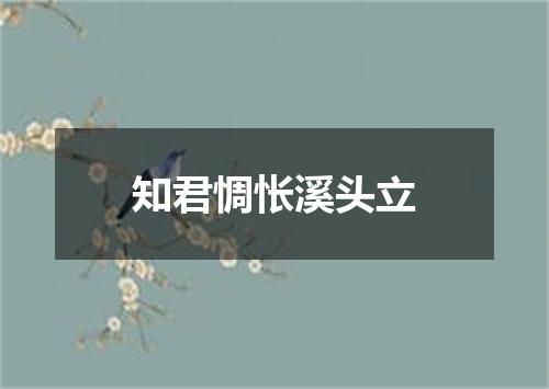 知君惆怅溪头立