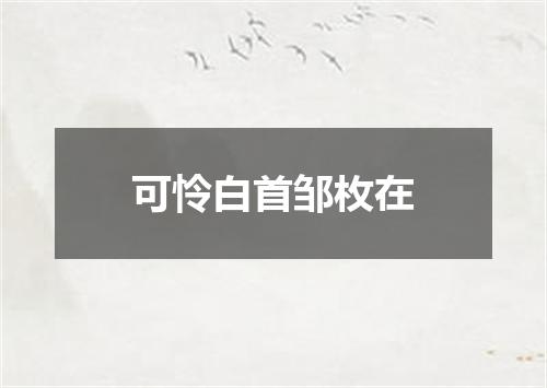 可怜白首邹枚在