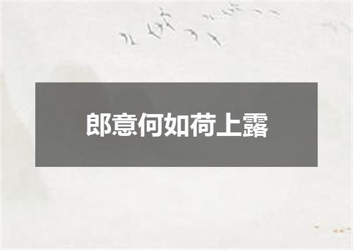 郎意何如荷上露