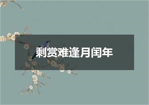 剩赏难逢月闰年