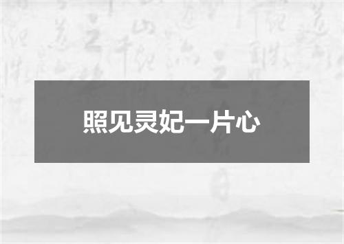 照见灵妃一片心