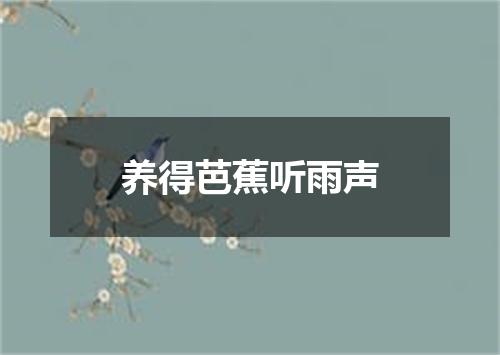 养得芭蕉听雨声