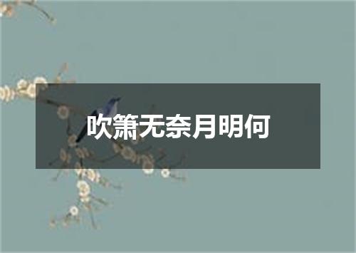 吹箫无奈月明何