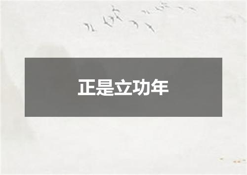 正是立功年