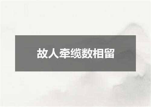 故人牵缆数相留