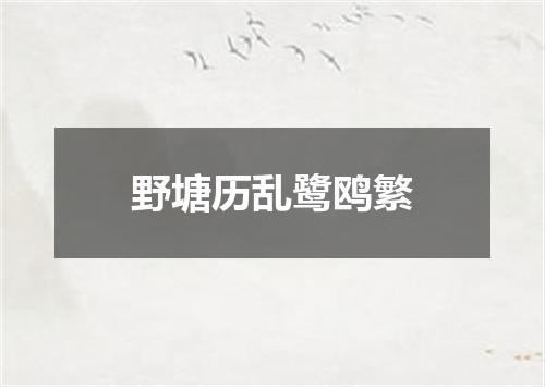 野塘历乱鹭鸥繁