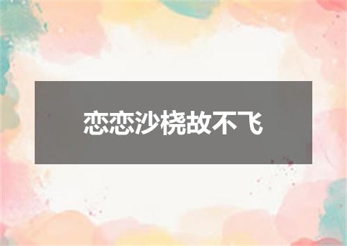 恋恋沙桡故不飞
