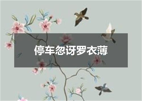 停车忽讶罗衣薄