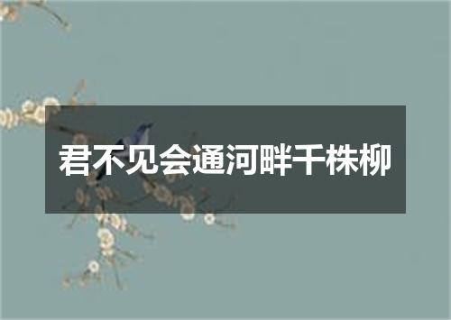 君不见会通河畔千株柳