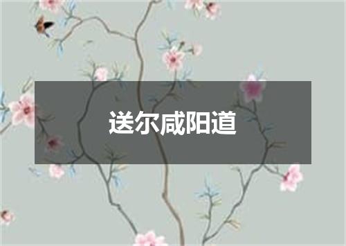 送尔咸阳道