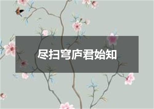 尽扫穹庐君始知