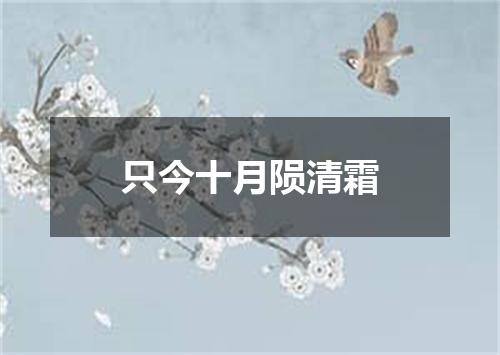只今十月陨清霜