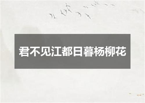 君不见江都日暮杨柳花