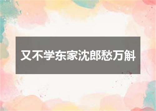 又不学东家沈郎愁万斛