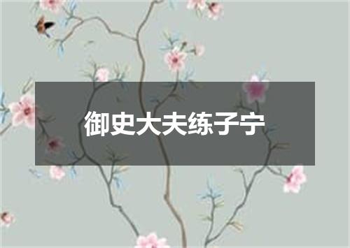 御史大夫练子宁