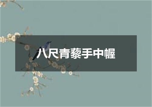八尺青藜手中幄