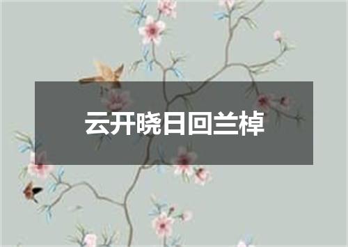 云开晓日回兰棹