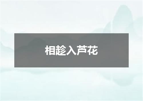 相趁入芦花