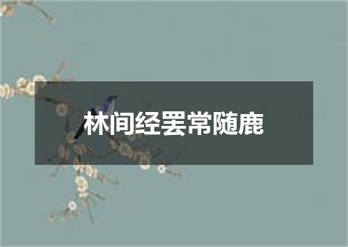 林间经罢常随鹿