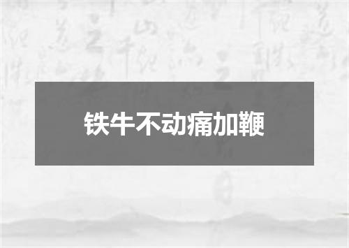 铁牛不动痛加鞭