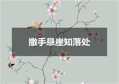 撒手悬崖知落处