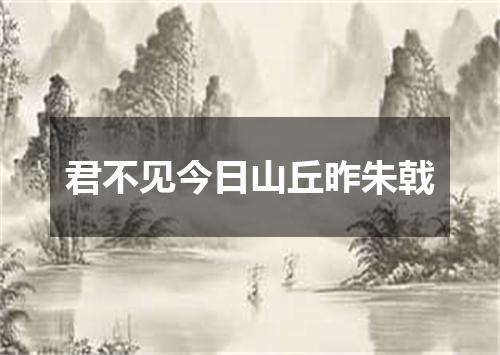 君不见今日山丘昨朱戟