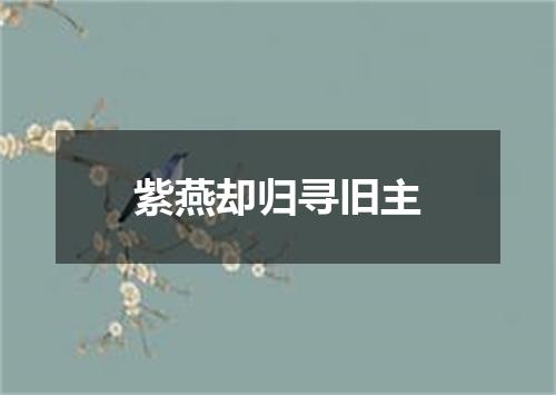 紫燕却归寻旧主
