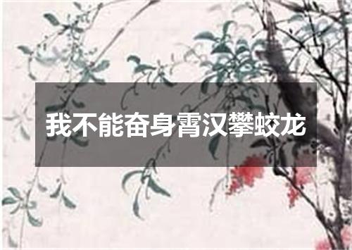 我不能奋身霄汉攀蛟龙