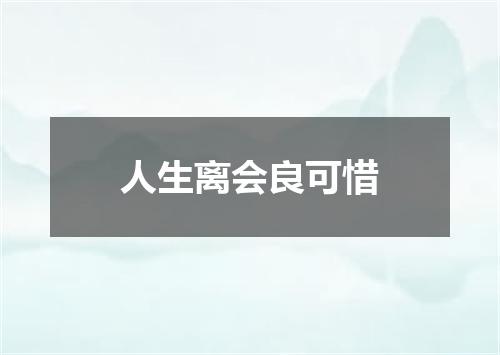 人生离会良可惜