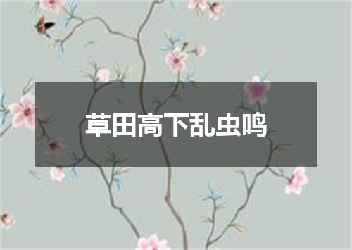 草田高下乱虫鸣
