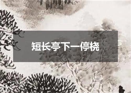 短长亭下一停桡