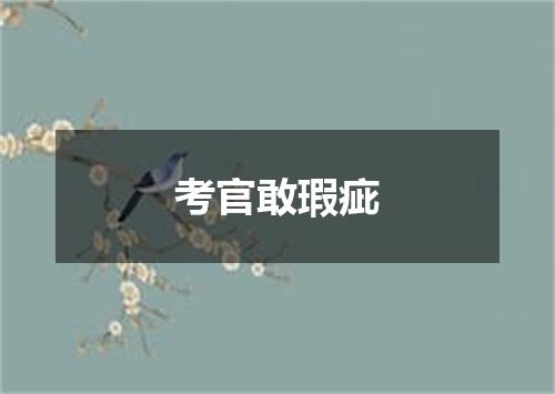 考官敢瑕疵