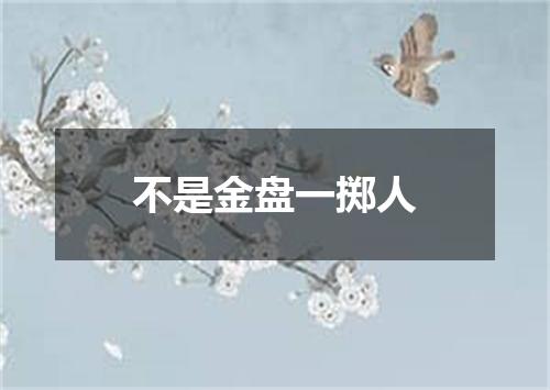 不是金盘一掷人