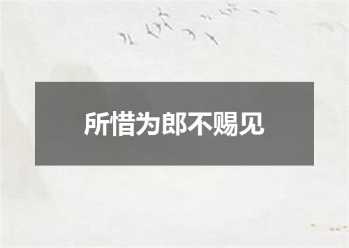 所惜为郎不赐见
