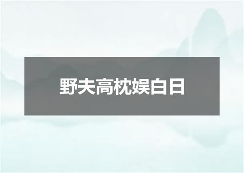 野夫高枕娱白日