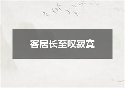 客居长至叹寂寞