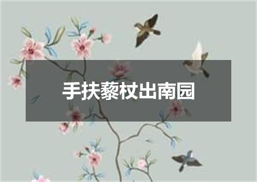 手扶藜杖出南园
