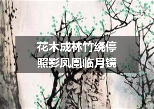 花木成林竹绕停照影凤凰临月镜