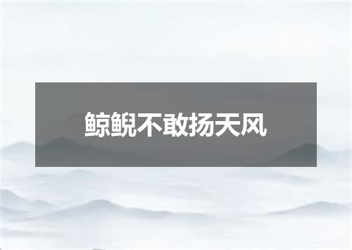 鲸鲵不敢扬天风