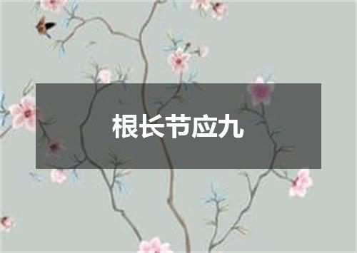 根长节应九