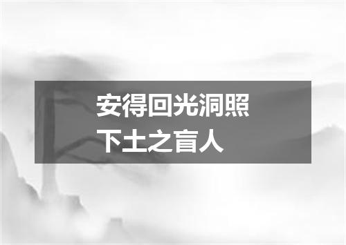 安得回光洞照下土之盲人