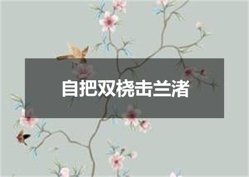 自把双桡击兰渚