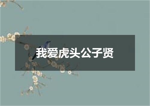 我爱虎头公子贤