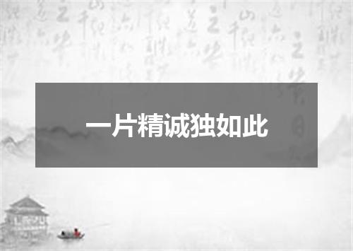 一片精诚独如此