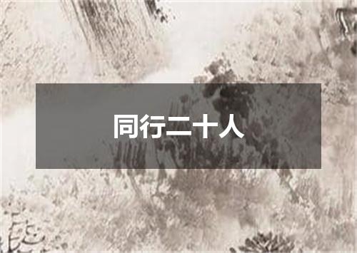 同行二十人