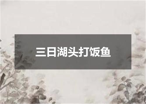 三日湖头打饭鱼