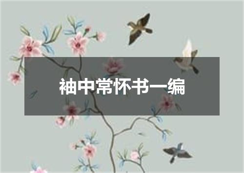 袖中常怀书一编